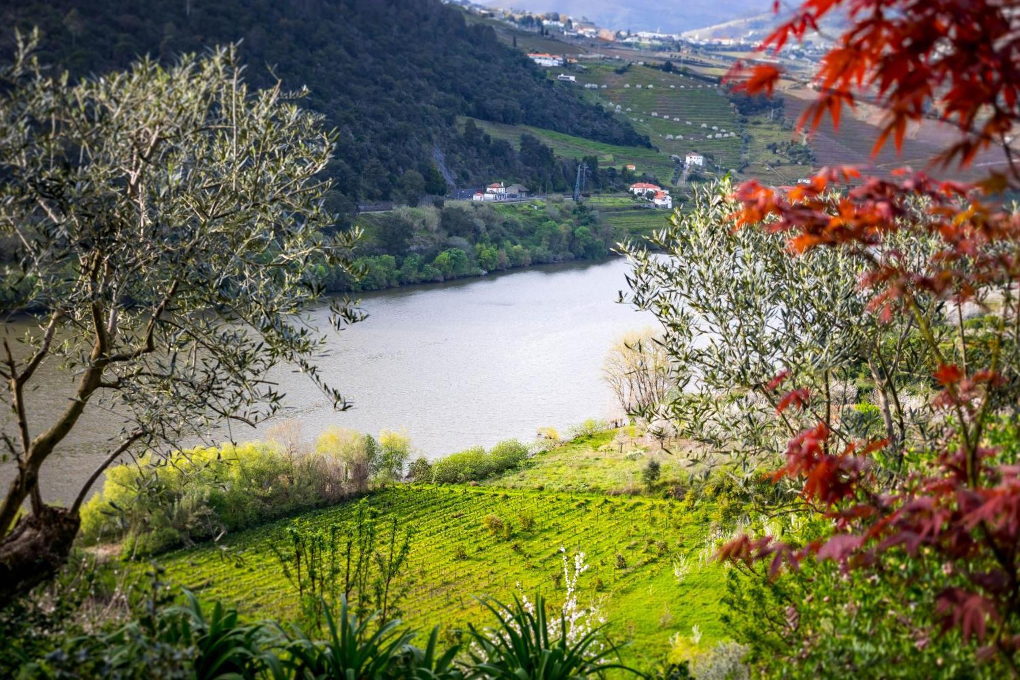 Fraga Douro House, Douro Valley Resende Eksteriør bilde